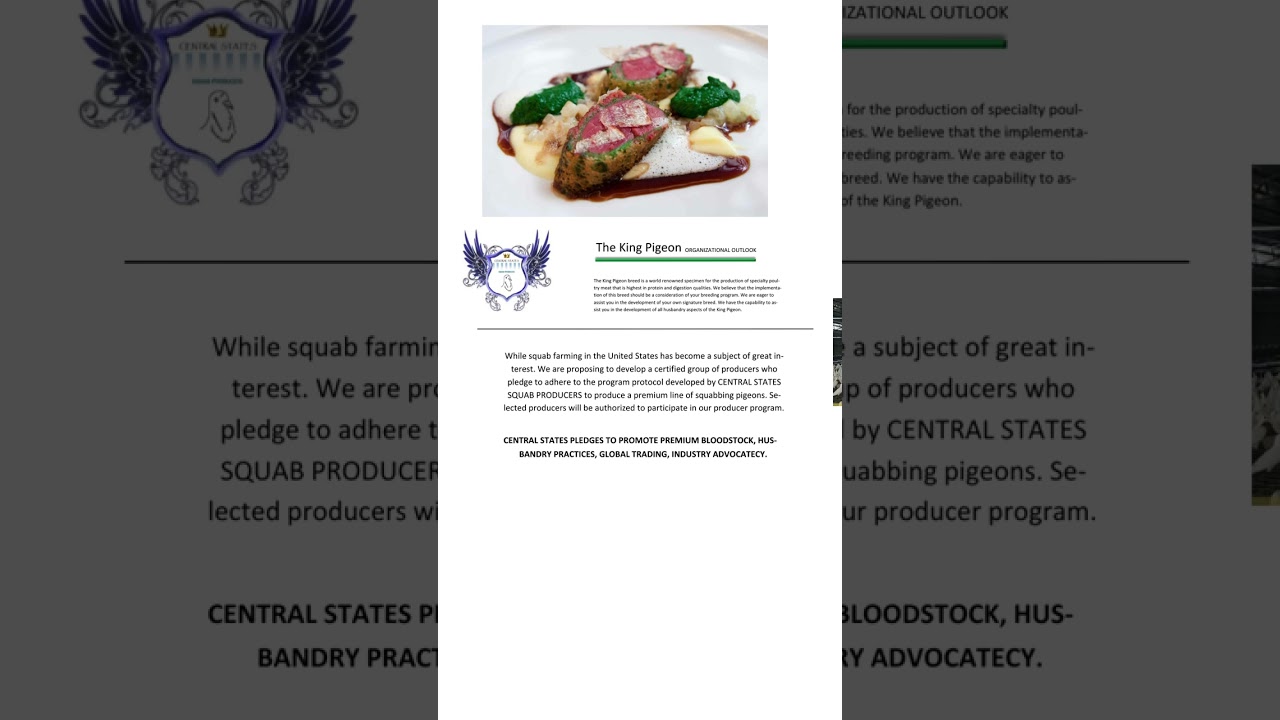 SQUAB FARMING IS NOT A FAD