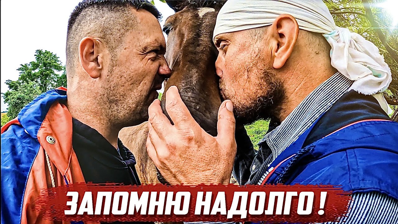 Незабываемая встреча! | Орловская обл, Глазуновский р/н с.Архангельское