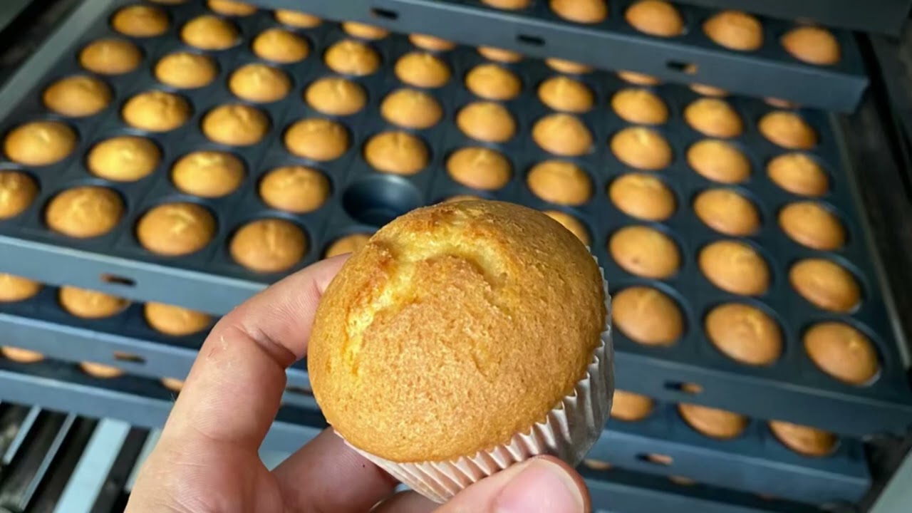 Cake Dough Depositor / Kek Hamur Depozitörü