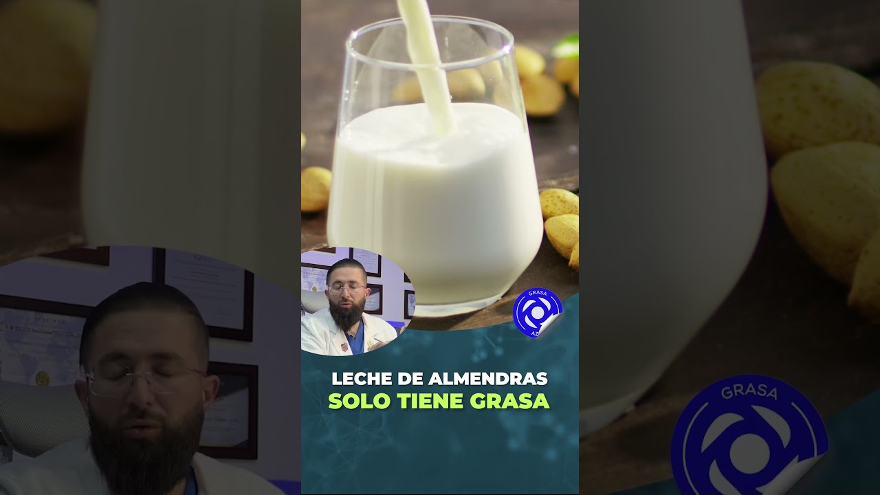 Leche de Almendras: No aporta prote&iacute;nas ni carbohidratos