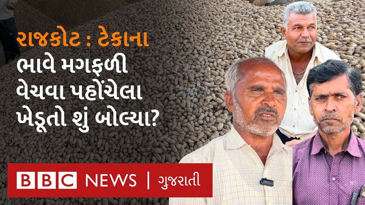 Rajkot : ટેકાના ભાવ રૂ.1300 મૂકીને ખેડૂતો કેમ ઓછા ભાવે ખુલ્લા બજારમાં મગફળીનું વેચાણ કરી રહ્યા છે?