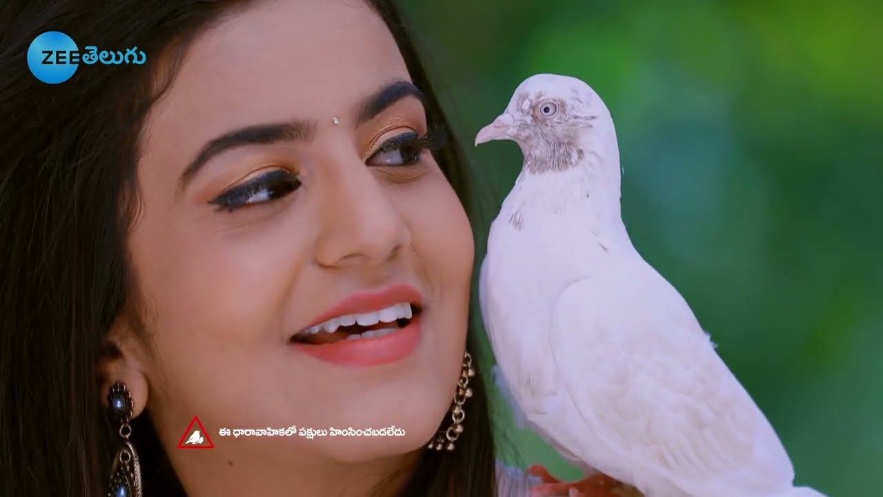 Naagini - నాగిని - Telugu Serial - Full Episode - 92 - Tejasswi Prakash, Mouni Roy - Zee Telugu