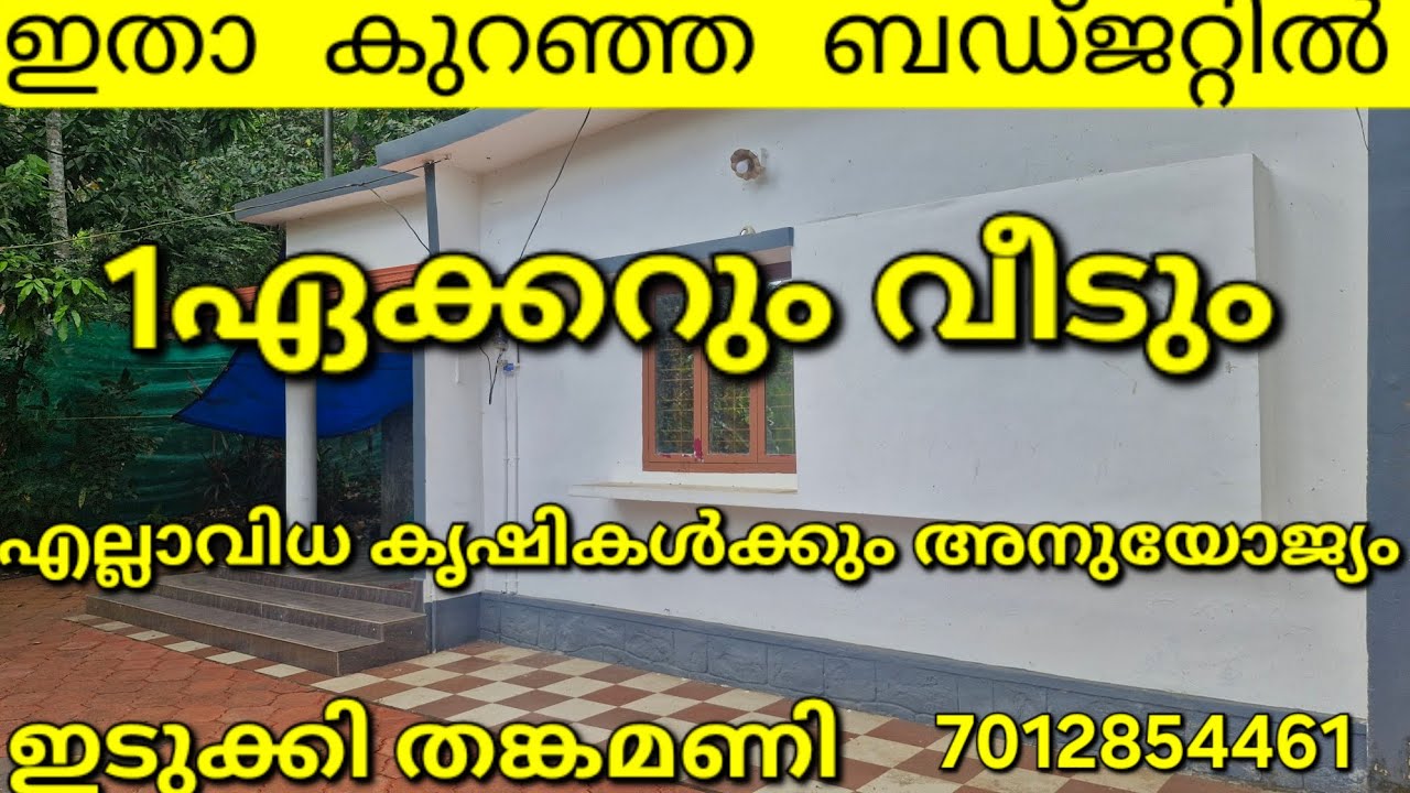 ഇതാ കുറഞ്ഞബഡ്‌ജറ്റിൽ 1ഏക്കറും വീടും.. എല്ലാവിധകൃഷിക്കും അനുയോജ്യം. ഇടുക്കി.തങ്കമണി 7012854461👇