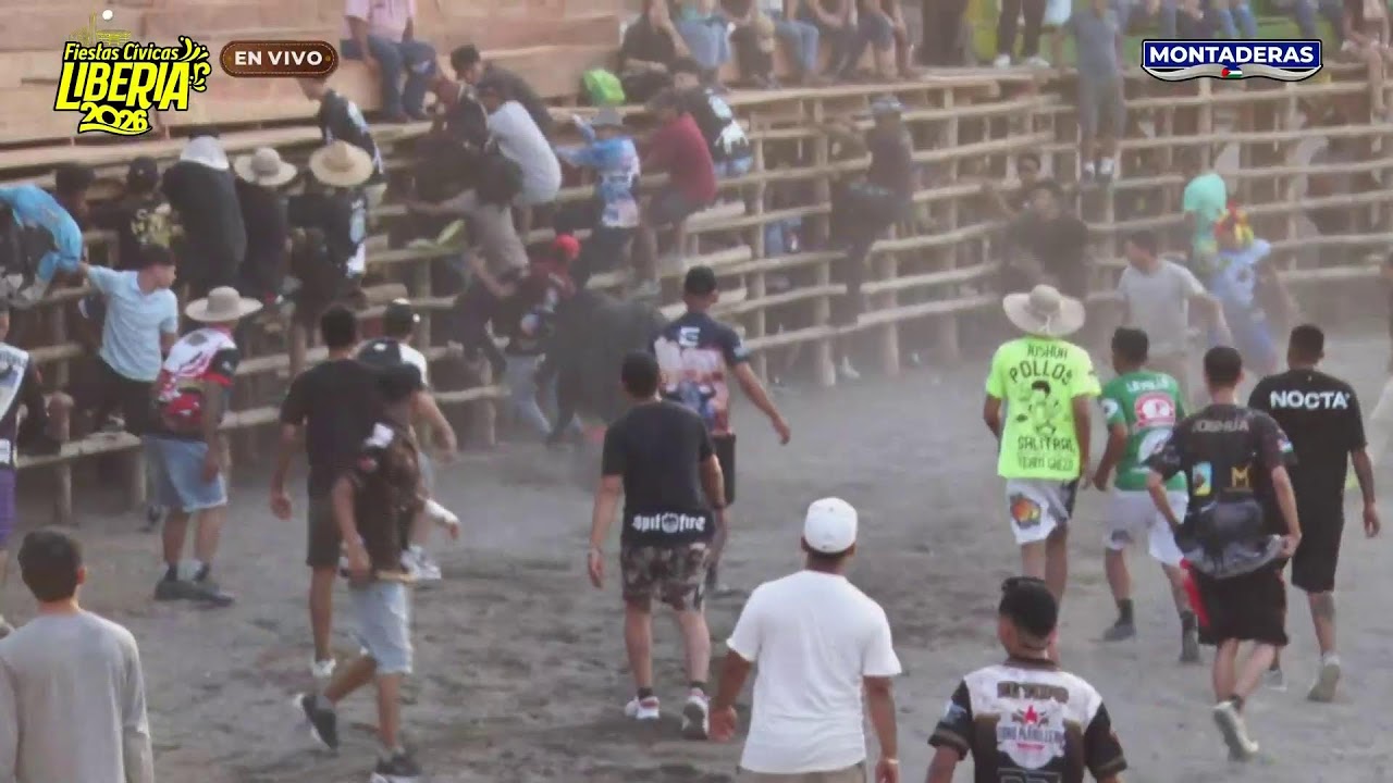 Montaderas Trivisión ¡Fiestas Cívicas Liberia 2026!