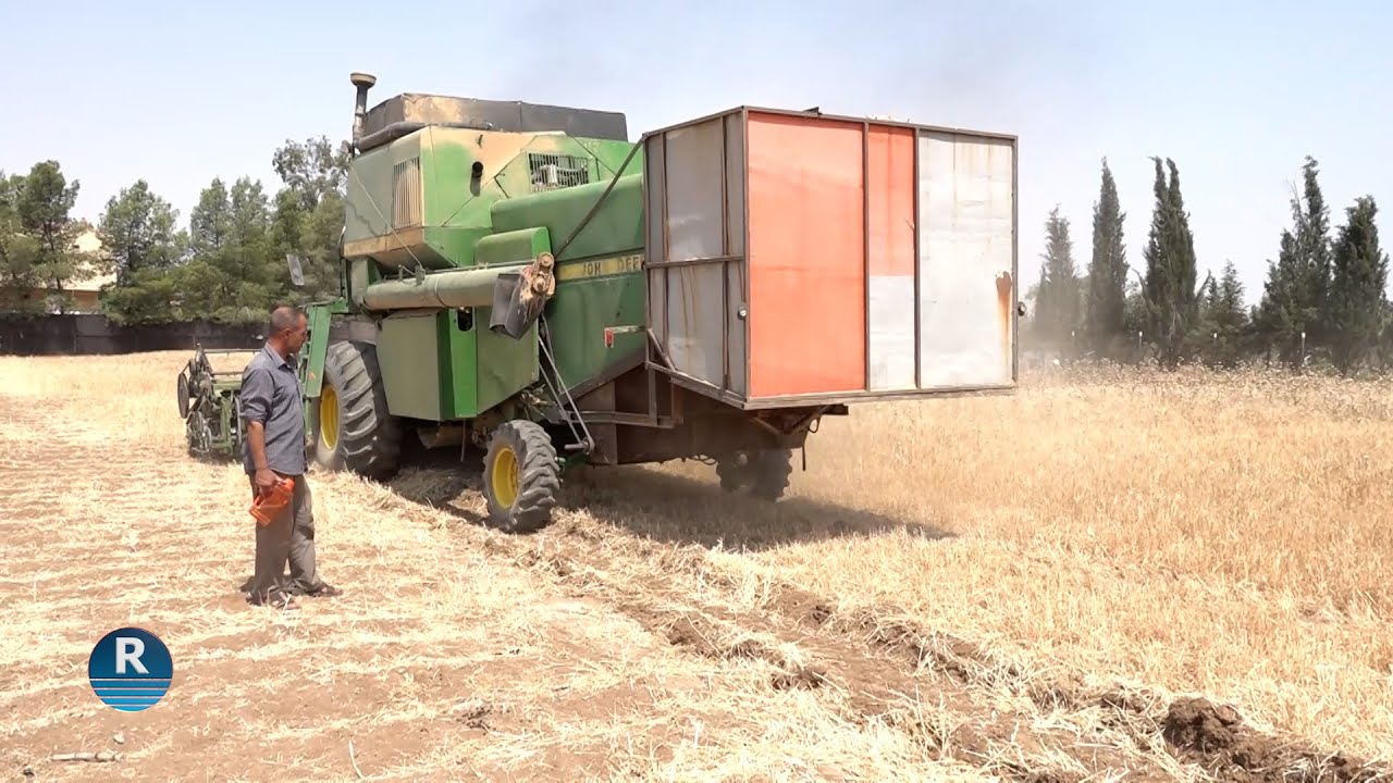 بسبب شح الأمطار.. جفاف وضعف الانتاج الزراعي في قامشلو مع بدء موسم الحصاد
