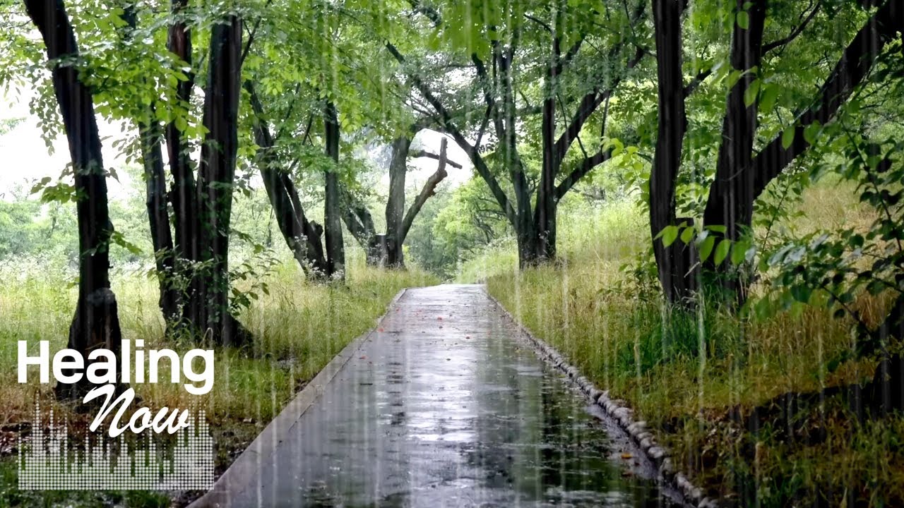 Пешеходная дорожка для наслаждения и звуки дождя, успокаивающие ваш разум