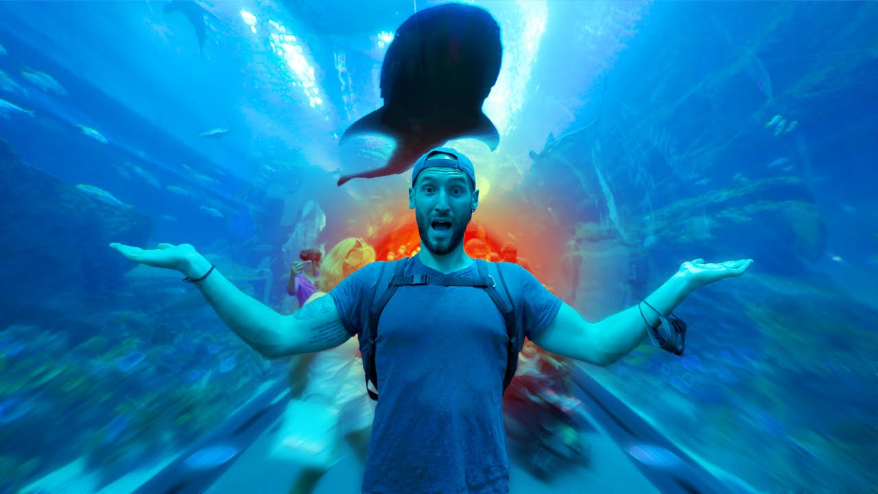 Dentro il MEGA-ACQUARIO del DUBAI MALL