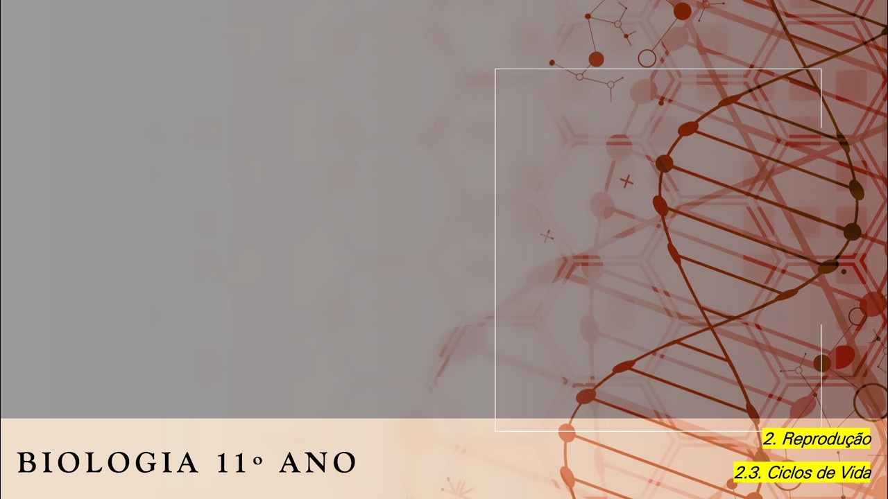 Biologia 11º | Aula 7 | Ciclos de Vida