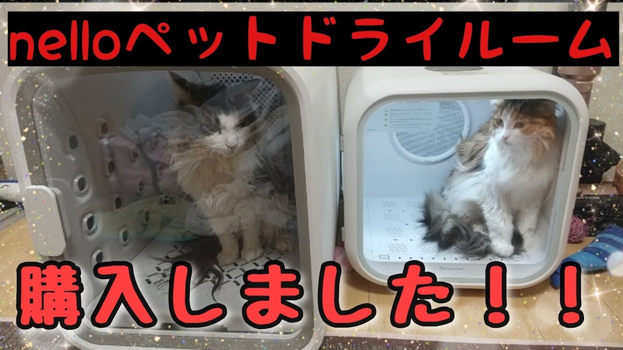 【検証】nelloペットドライルームを使ったらこうなった！