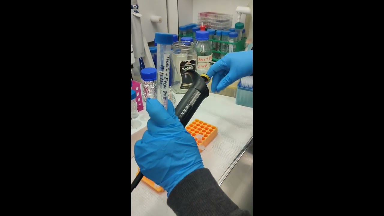 ABTS antioxidant analysis calibration curve with standard