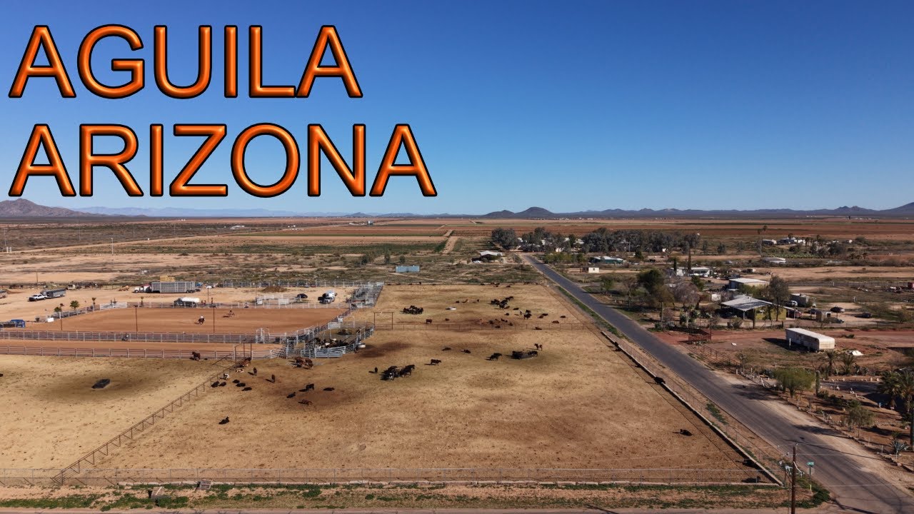 Aguila Arizona