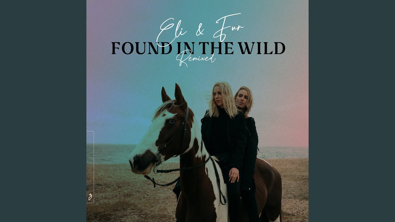 Wild Skies (MOLØ Extended Mix)