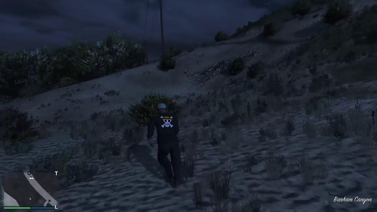 Live  GTA 5