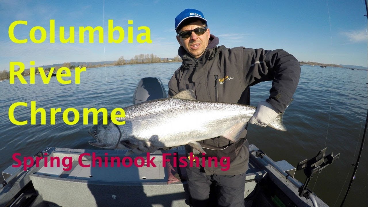 Awesome Spring Chinook Salmon Fishing on the Columbia River in Portland, Oregon.  March 31, 2019.