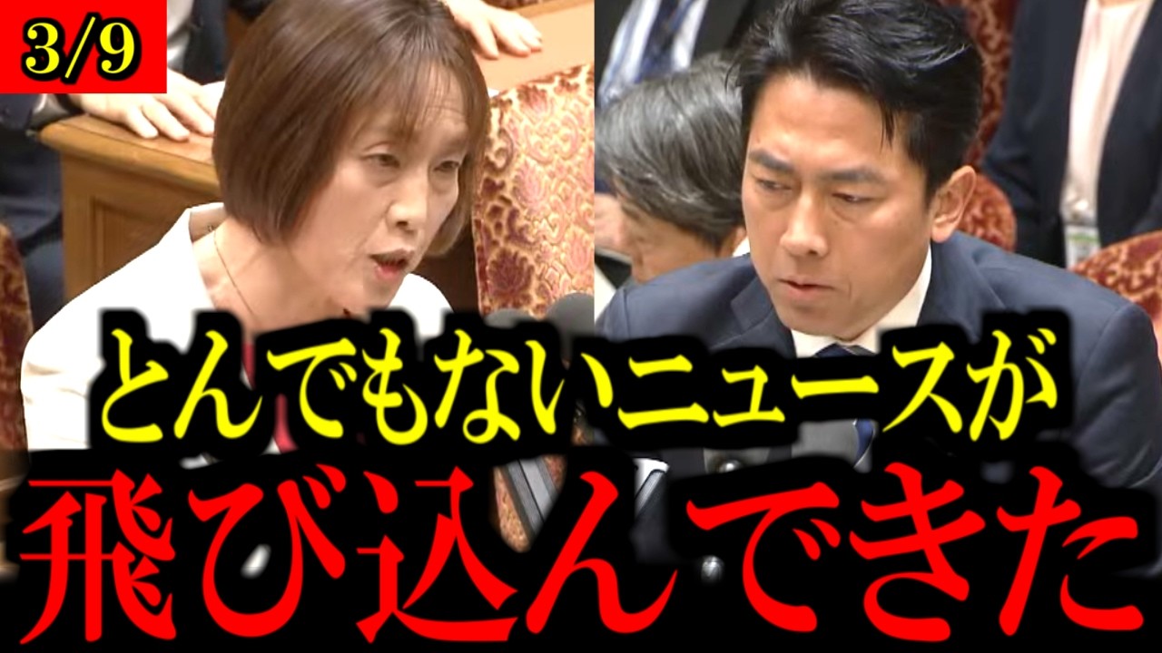 【3/9速報】共産党の田村智子委員長が小泉進次郎防衛大臣と高市早苗総理を予算委員会で追及...【立憲民主党/原口一博/野田佳彦/中道改革連合/自民党/高市早苗】