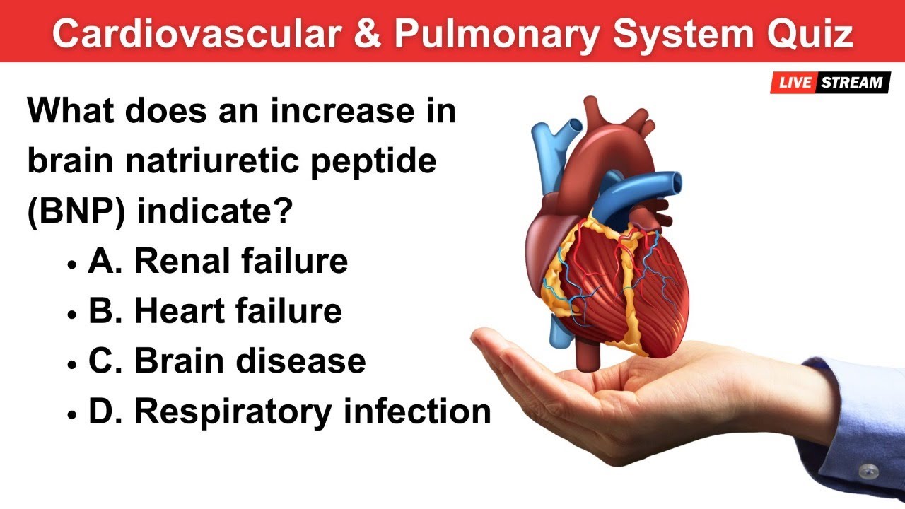 🩺 Cardiovascular and Pulmonary System Quiz by Nurse Eunice 🫁