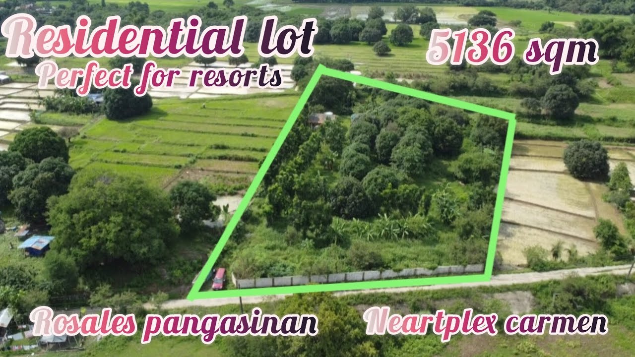 lot#280 Residential lot good for resort w/ mango trees, nakabakod na property,50mtrs frontge 5136sqm