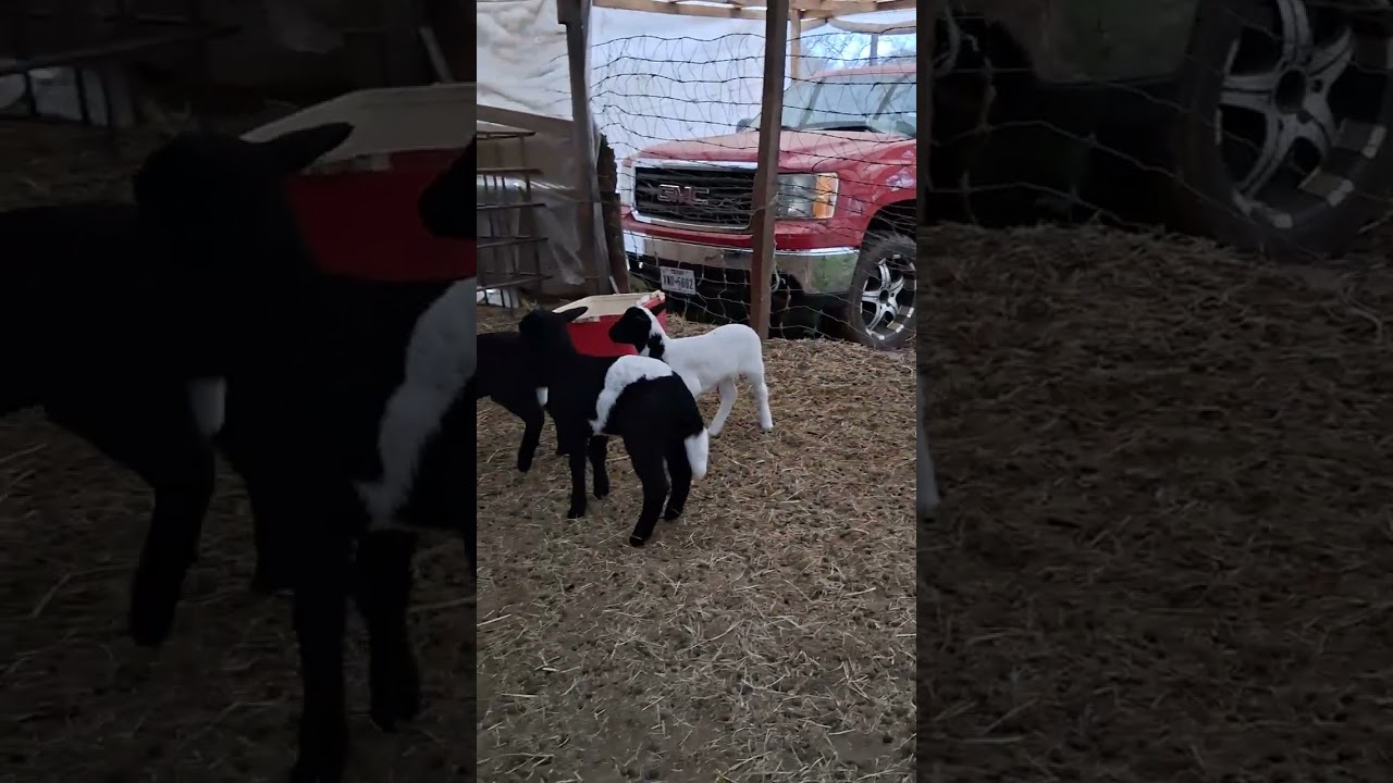 25 de febrero de 2026