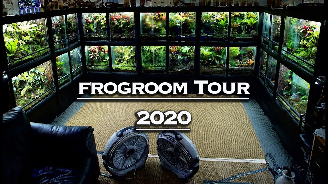 ТУР FROGROOM 2020!!! КОМНАТА НАКОНЕЦ-ТО ГОТОВА!!