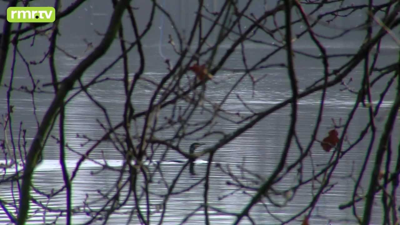 Sendung 6 Br&uuml;ggen am Niederrhein
