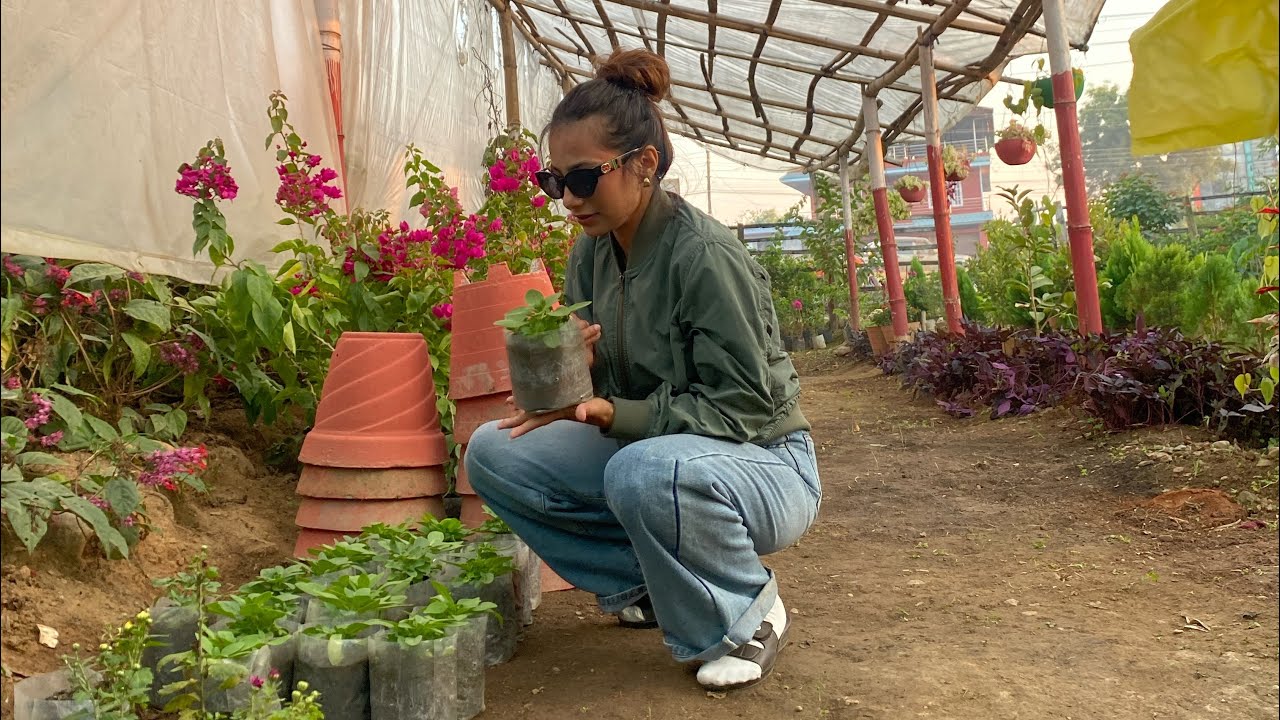 WINTER GARDENING 