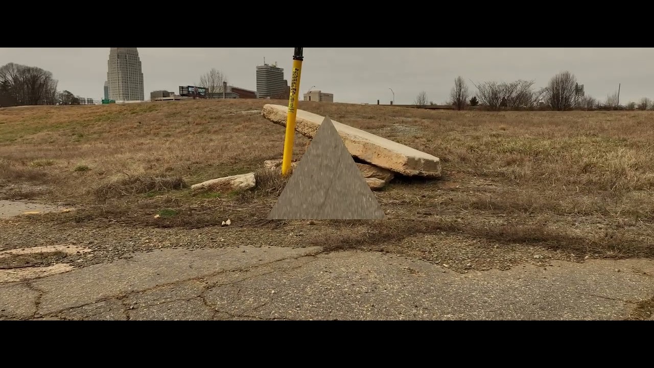 Man’s Best Friend?