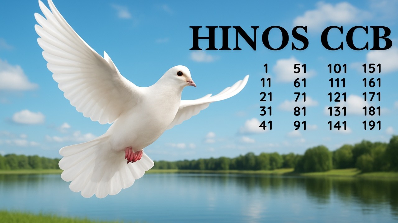 HINOS CCB -  55  | 1  11 21 31 41 51 61 71 81 91 101 111 121 131 141 151 161 171 181 191