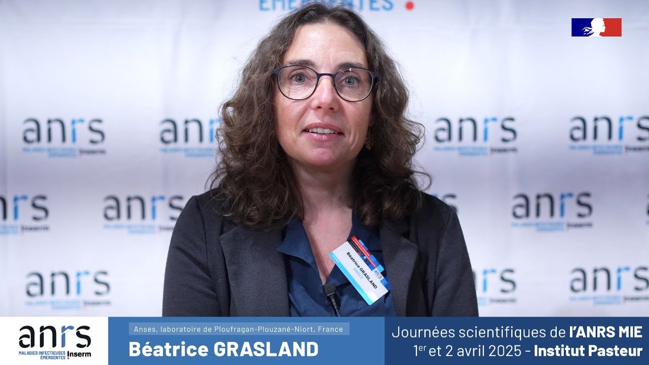 Influenza aviaire : point sur la situation &agrave; l&rsquo;international