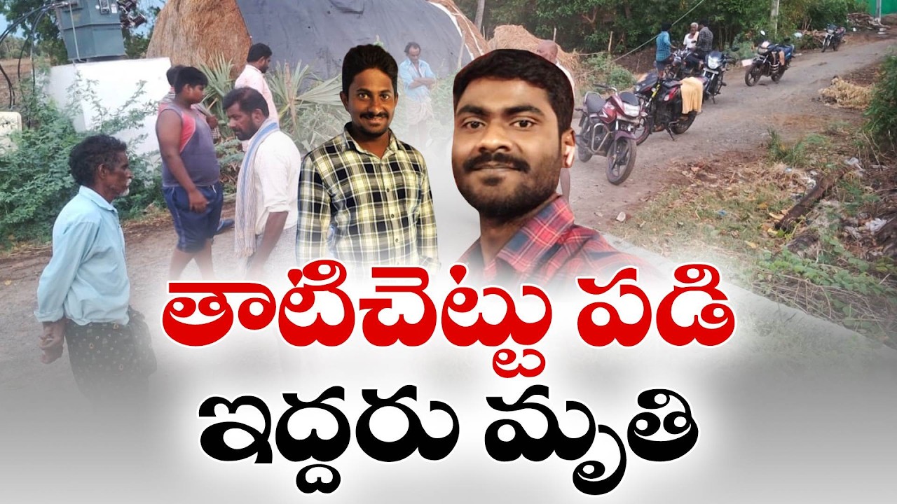 Two Youth Killed as Palm Tree Falls on Bike Amid Heavy Winds in Krishna District