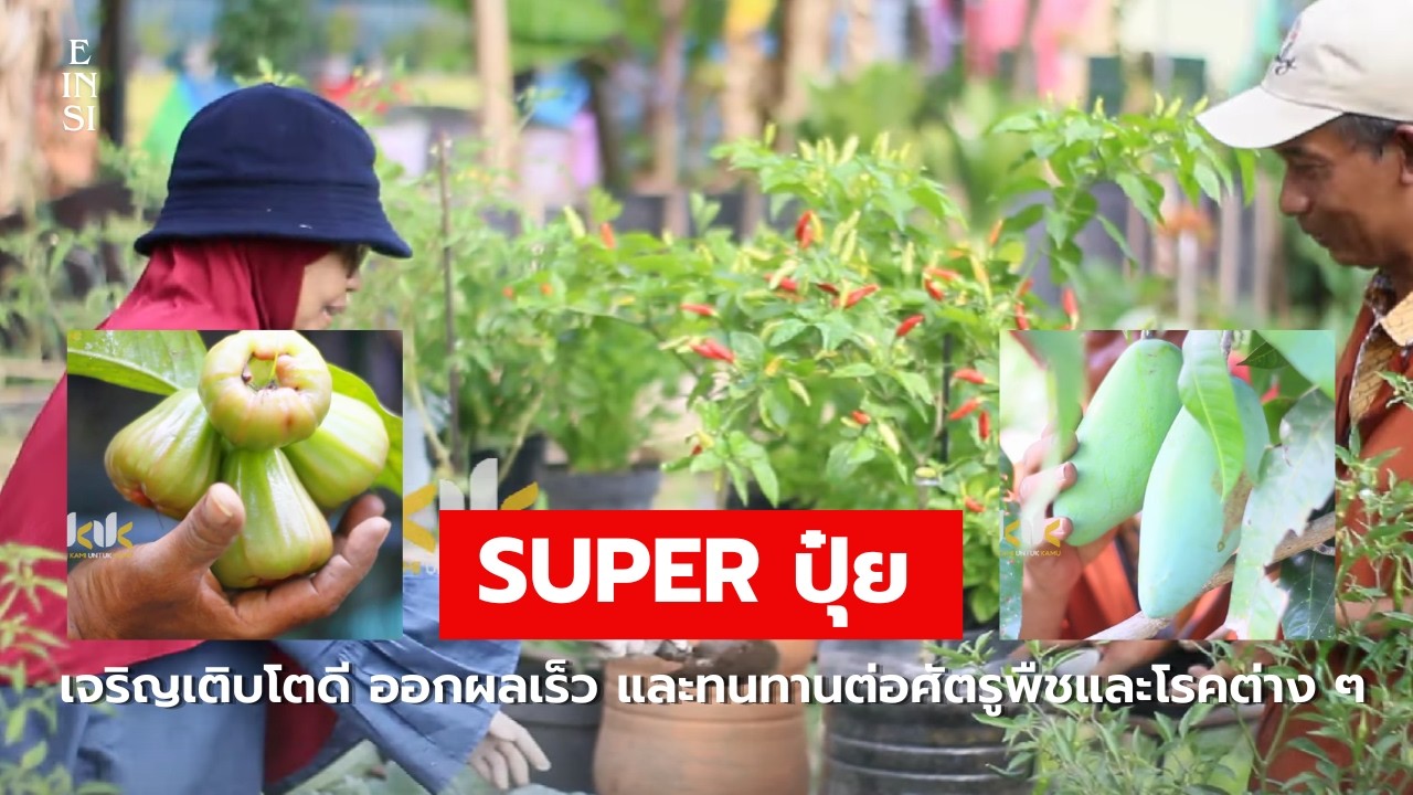 ปุ๋ยอินทรีย์สูตรผสมพิเศษ ช่วยให้พืชเจริญเติบโตดี ออกผลเร็ว และทนทานต่อศัตรูพืชและโรคต่าง ๆ