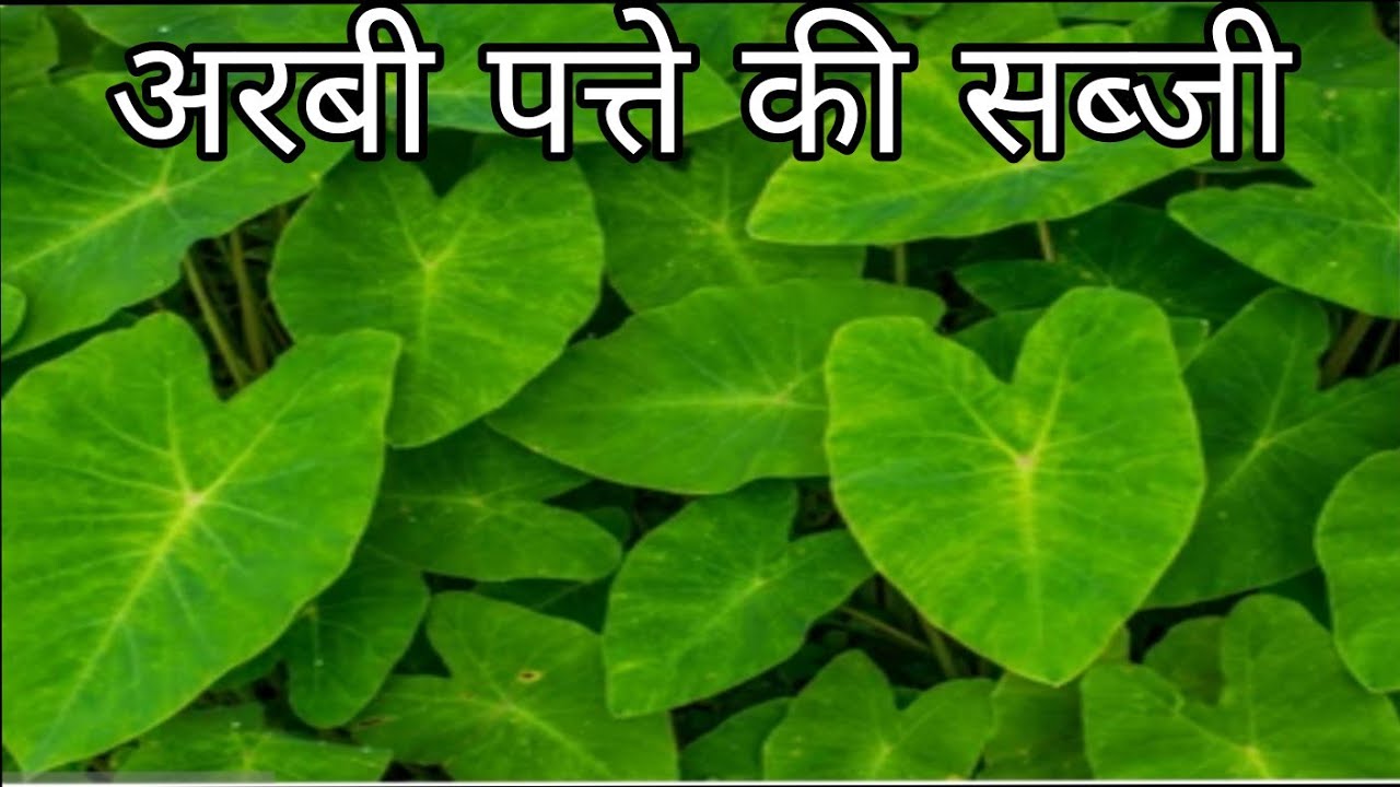 एक बार अरबी के पत्ते को इस तरीके से बना कर देखिए | खाने का जायका बदल जाएगा😋