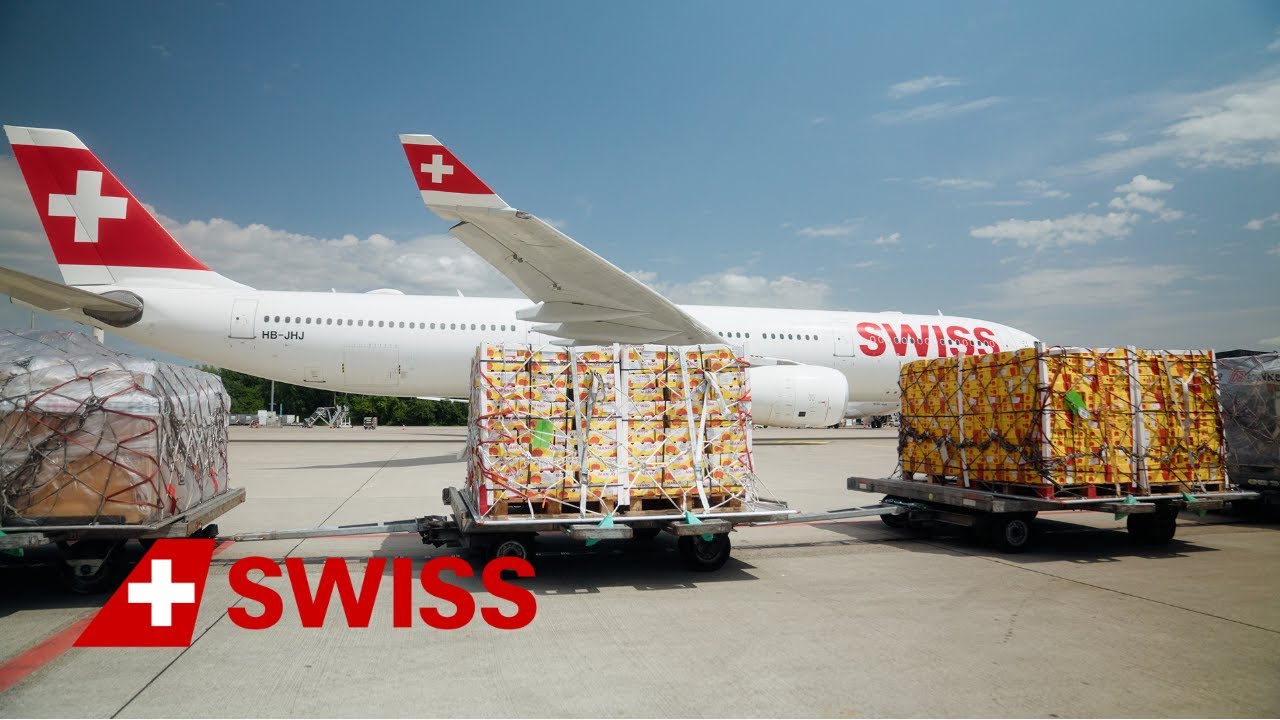 SWISS Behind the Wings | Episode 13: Follow the journey of our cargo | SWISS