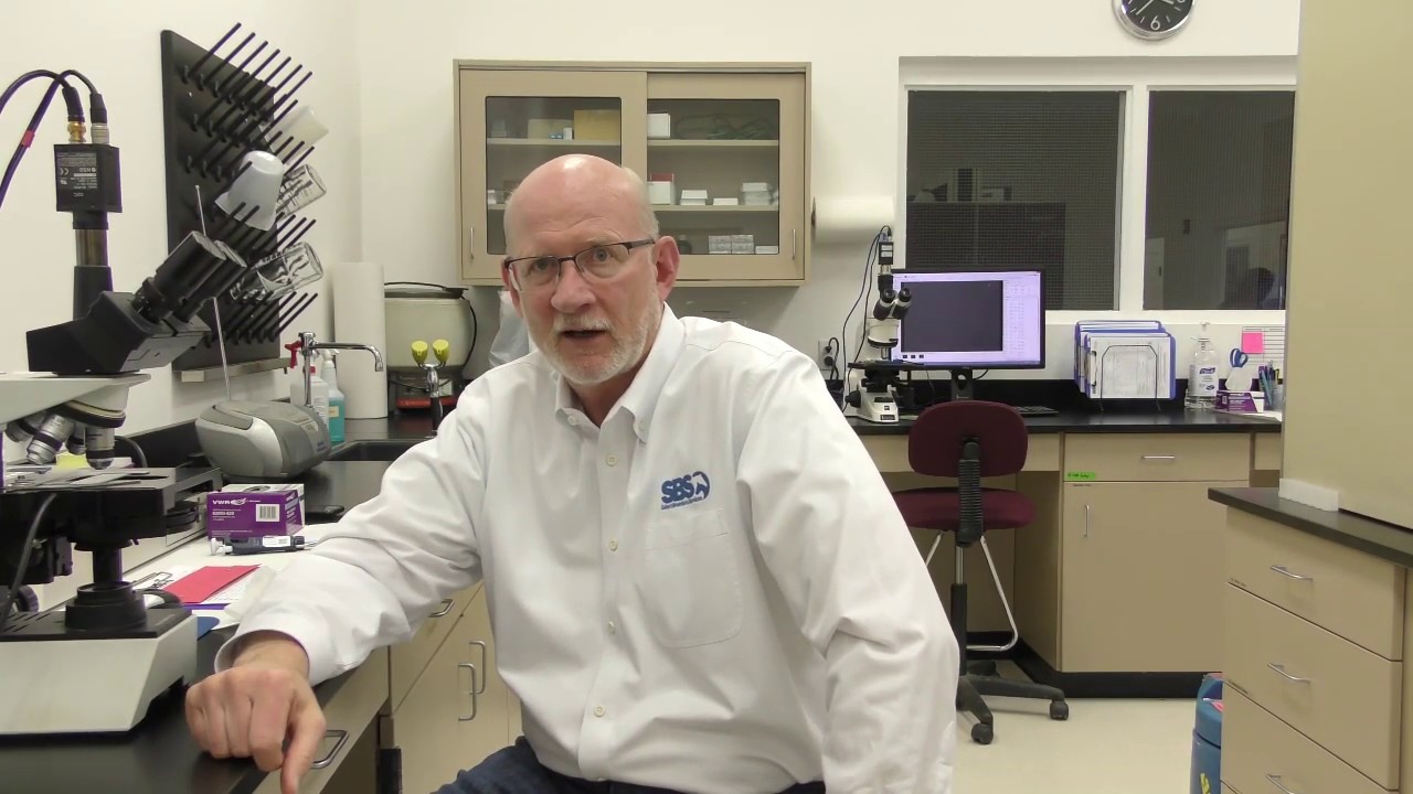 Frozen Semen for Mare Owners QUICK TIP - Determining Dose Size