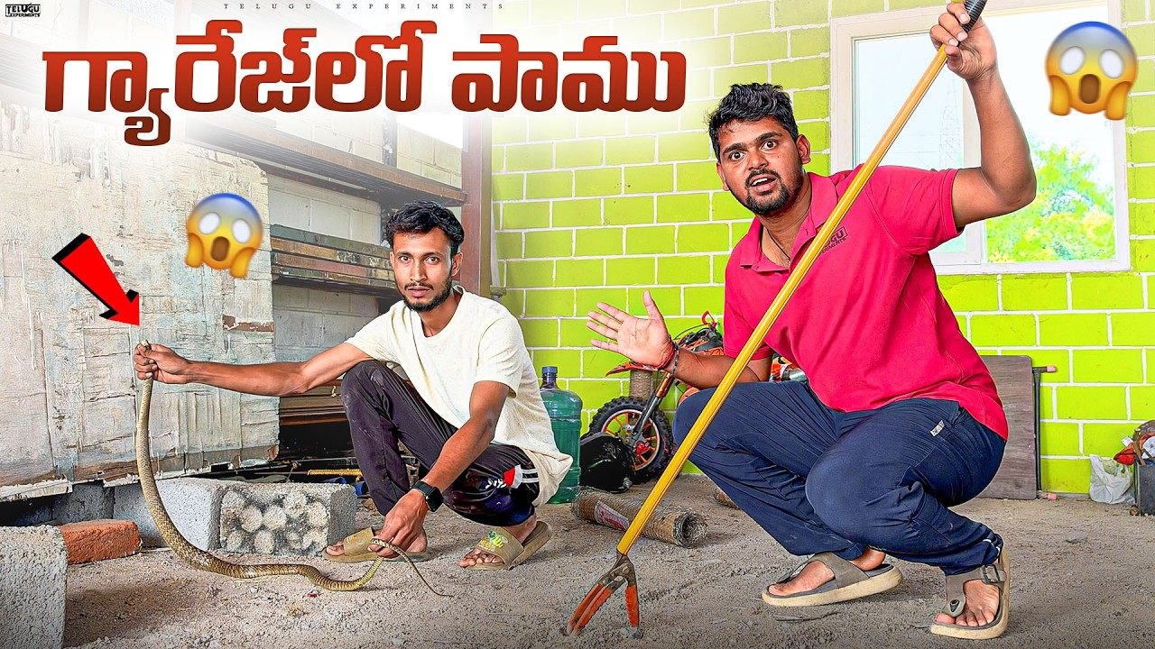 Garage లోకి Snake వచ్చింది 🔥🔥 Telugu Experiments Vlogs