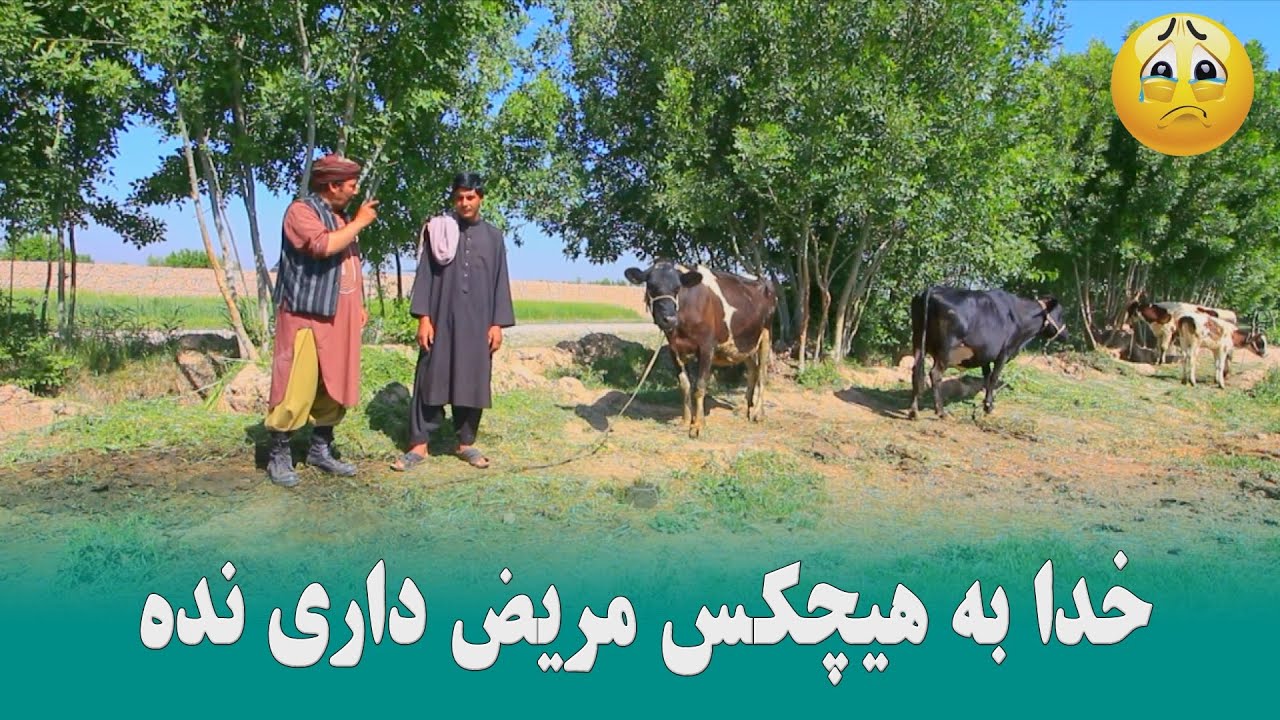 نمایش 