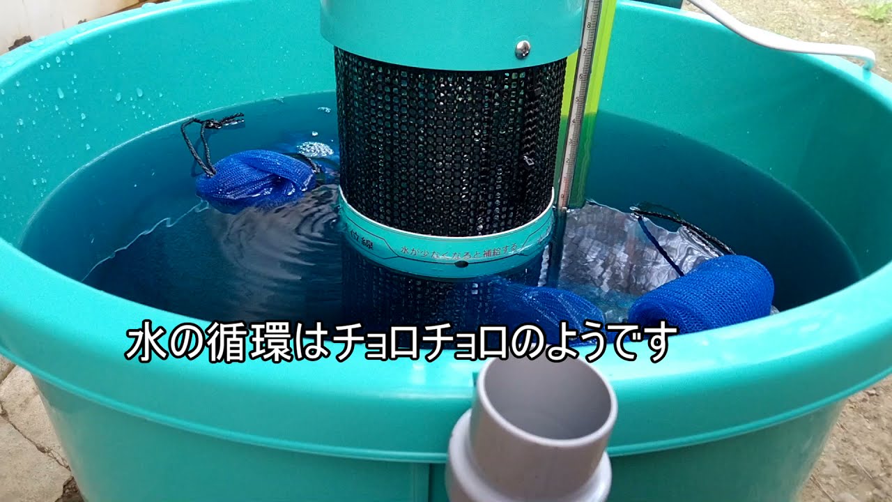 初めて芽出し機使ってみた