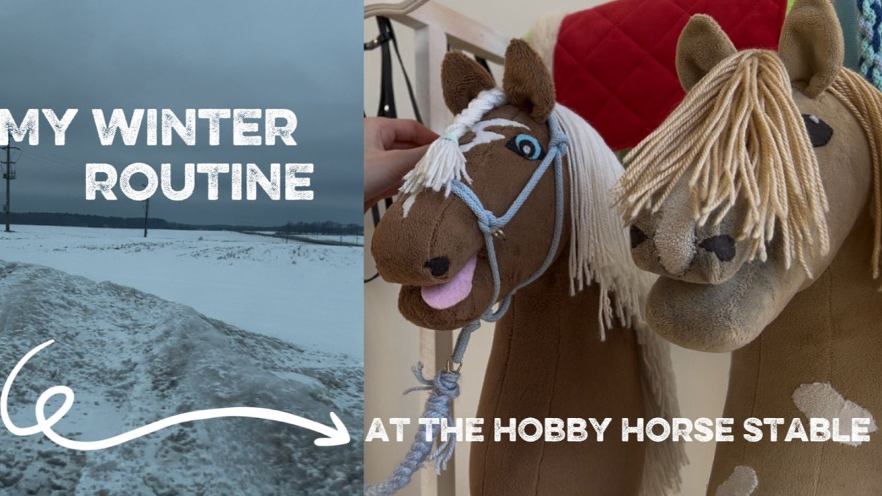 MY WINTER ROUTINE AT THE HOBBY HORSE SATBLE🐴❄️