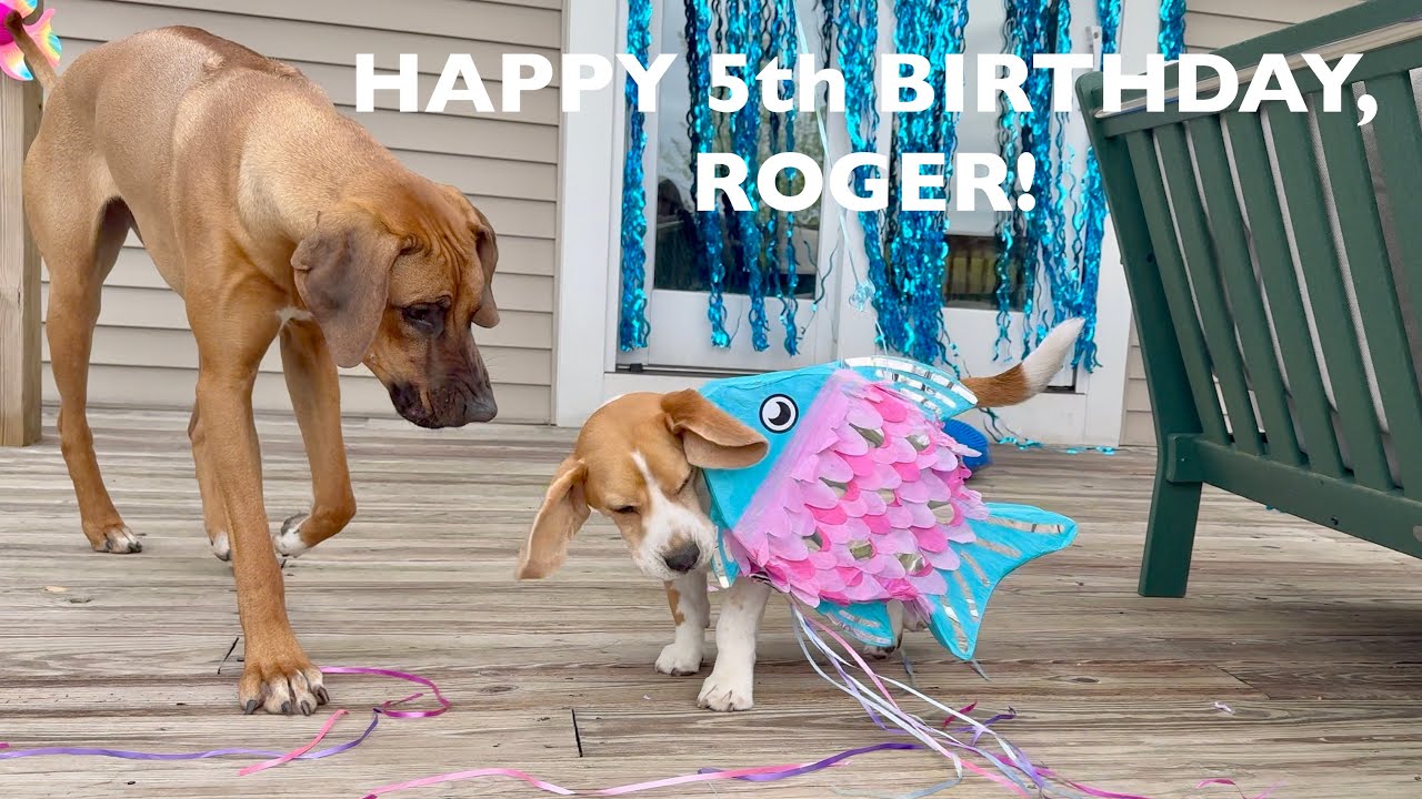 Roger's 