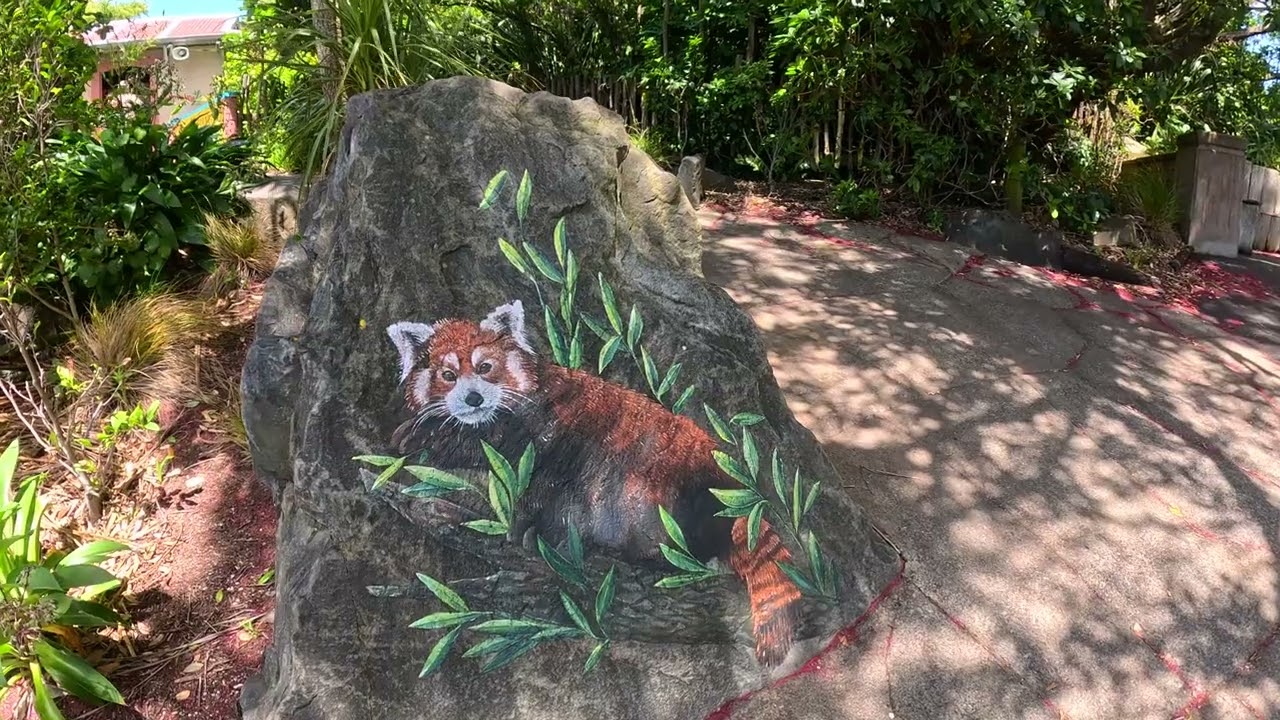 Wellington Zoo Adventure | Otters, Lions, and Breathtaking View