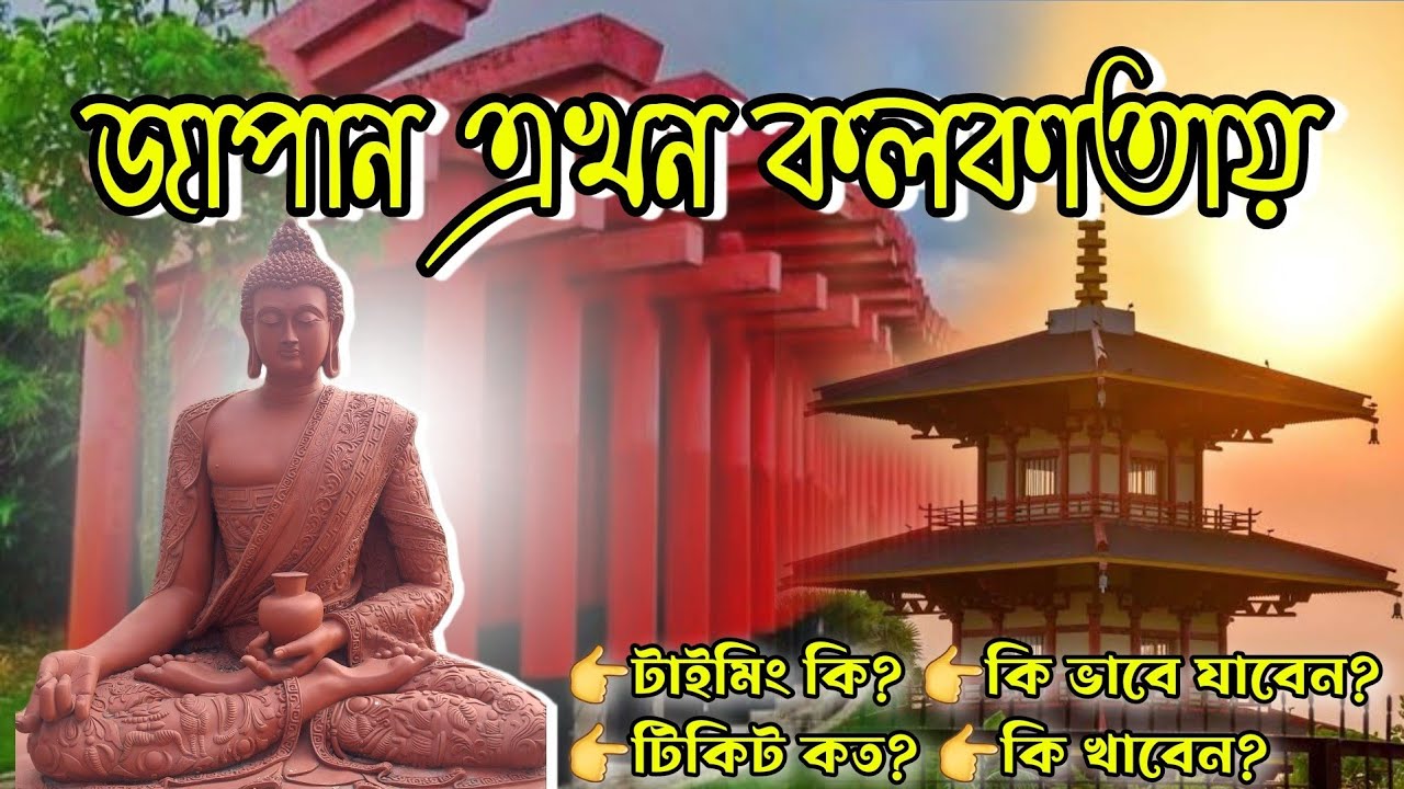 জাপান এখন কলকাতায় | Japanese forest in Kolkata | Mini Japan in Kolkata | The Travel Fever