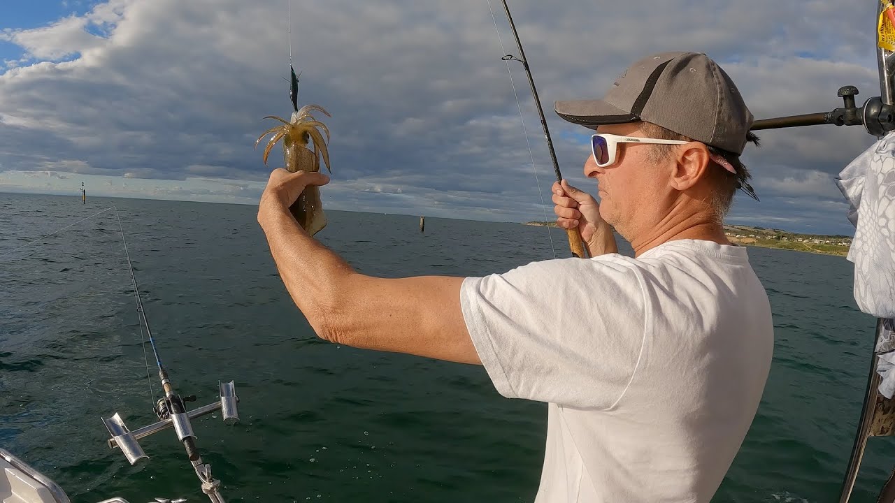 Happy Fisherman   EP29 Catching Squid and King George Whiting