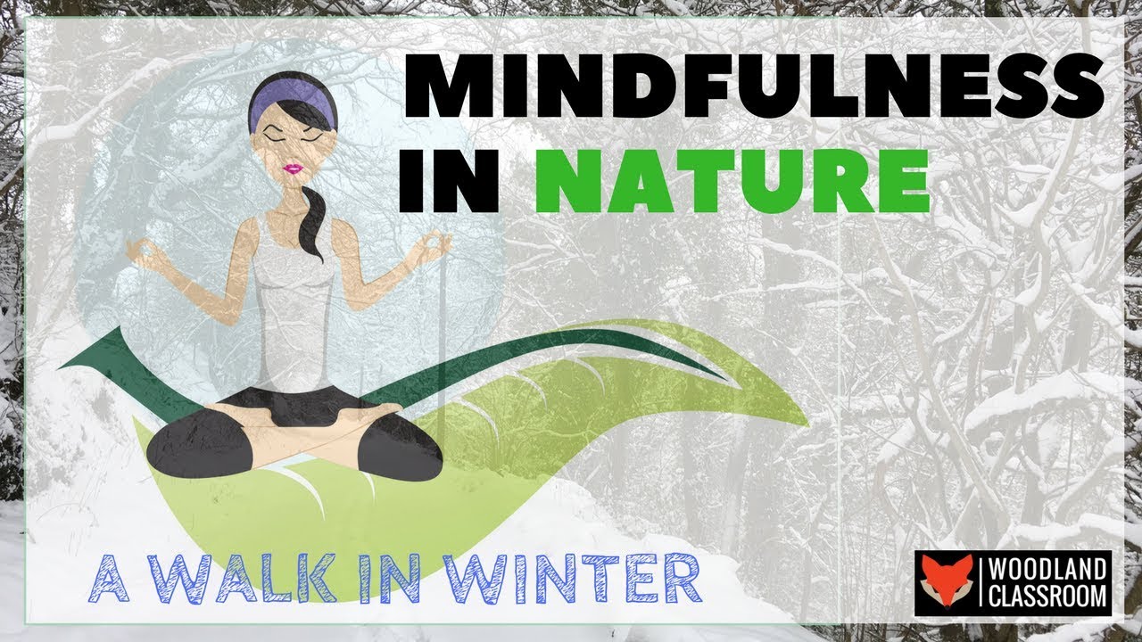 Mindfulness in Nature: A Walk in Winter