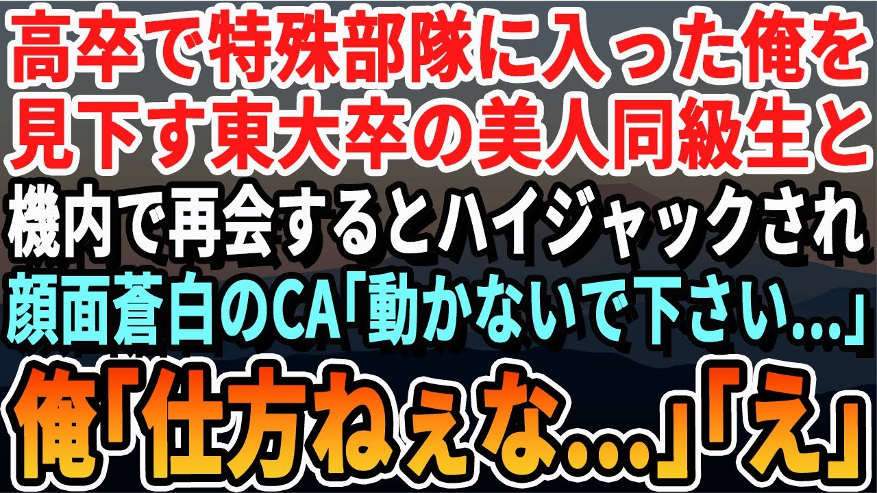 【感動する話】高卒で自衛隊に入った俺を見下す東大卒のエリート弁護士の美人同級生。後日、飛行機の中で彼女と再会→直後、機内がハイジャック！CA「誰も動かないで下さい…」俺「しょうがねぇな…」「え？」朗読