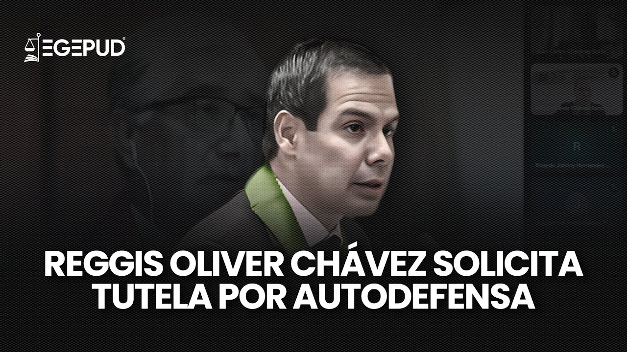 Derecho a la autodefensa técnica: tutela solicitada por Reggis Oliver Chávez Sánchez