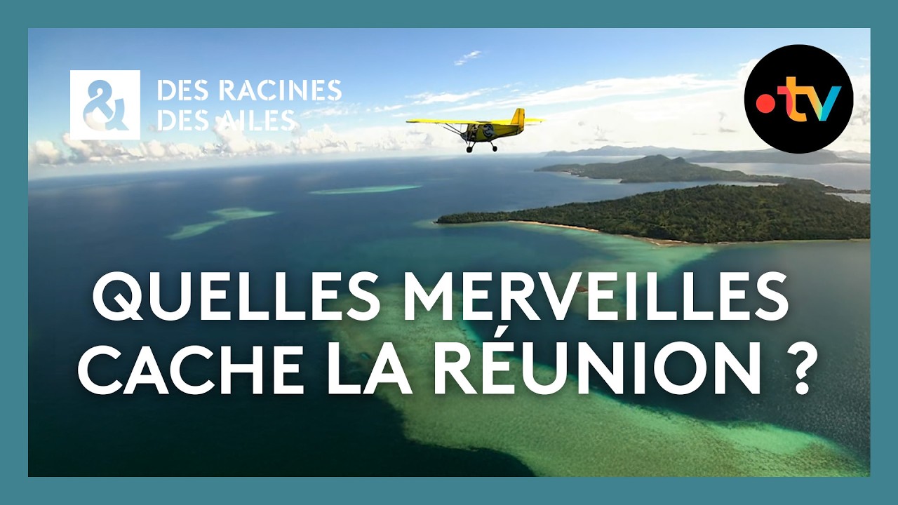 Quelles merveilles cache La R&eacute;union ? - Des racines et des ailes