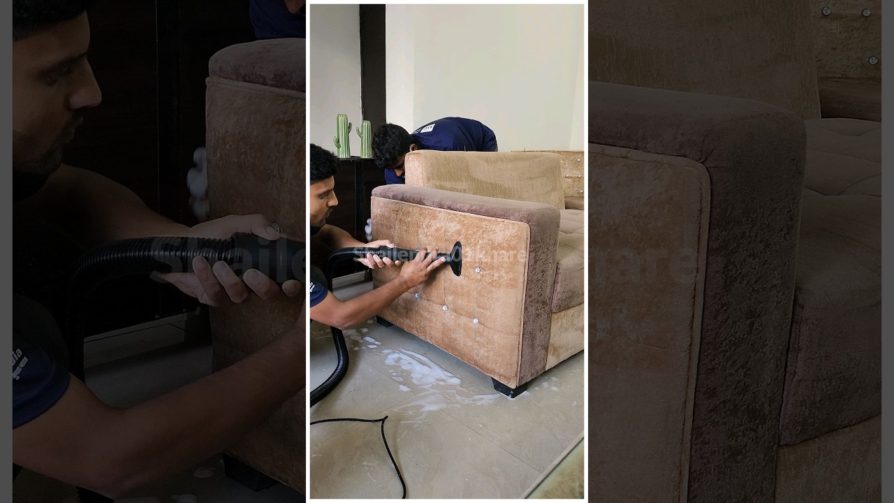 Urban Company Sofa Cleaning #shorts #youtubeshorts | best sofa cleaning services