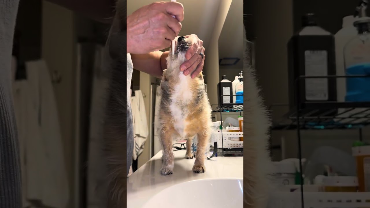Morning routine and product name. 