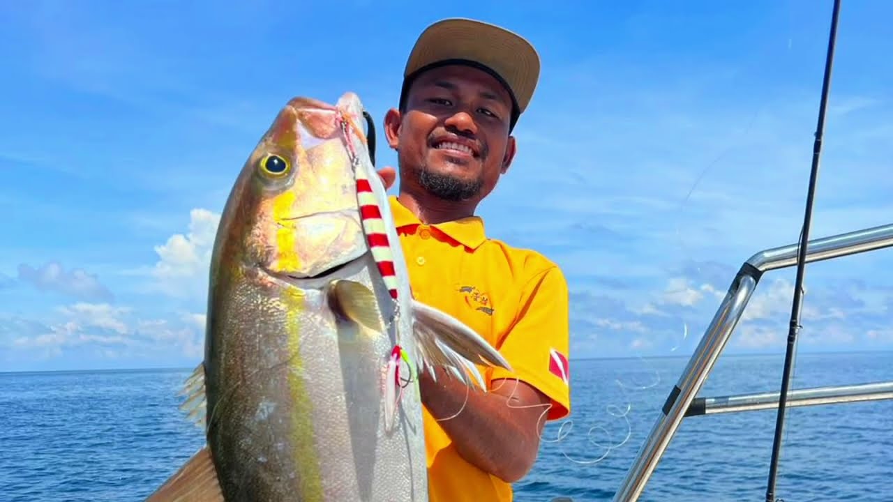 Frenzy Amberjack | Slow Jigging Semporna