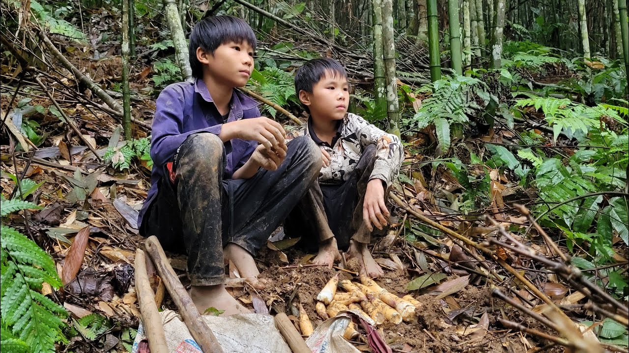 The daily life of two orphan brothers searching for life