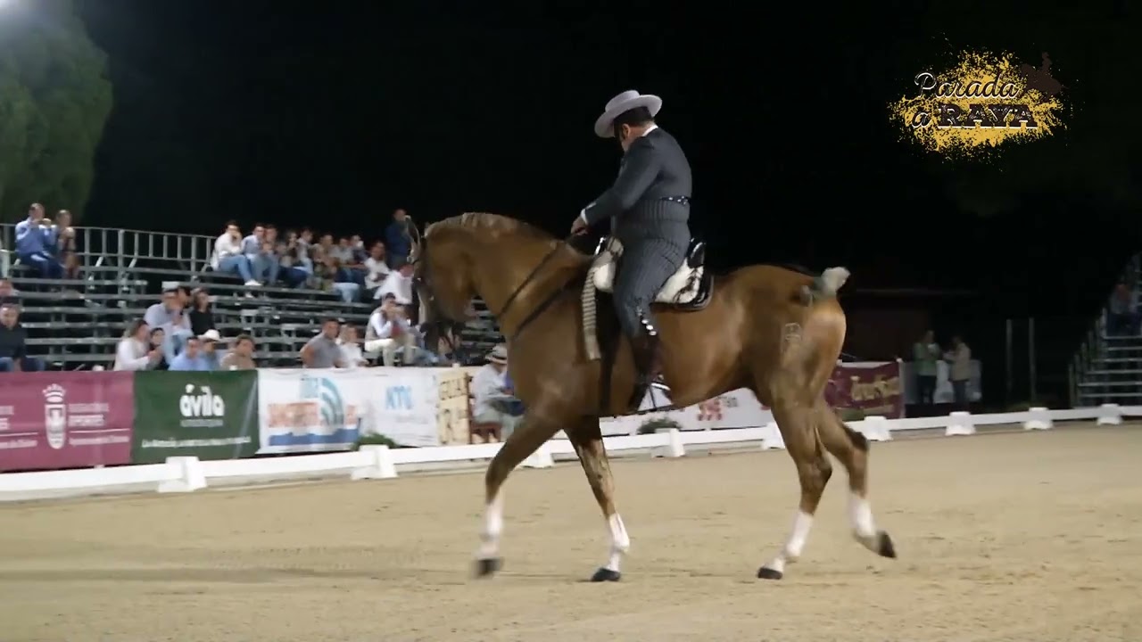 17 RAFAEL ARCOS GONZALEZ   MANGO